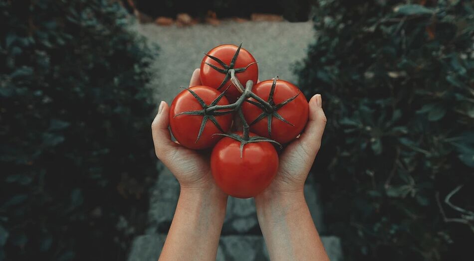 Tomato mengurangkan risiko barah prostat